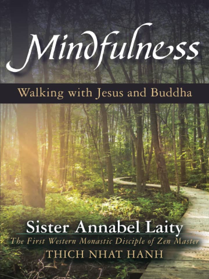 Mindfulness: Walking with Jesus and Buddha for wholesale by Orbis Books