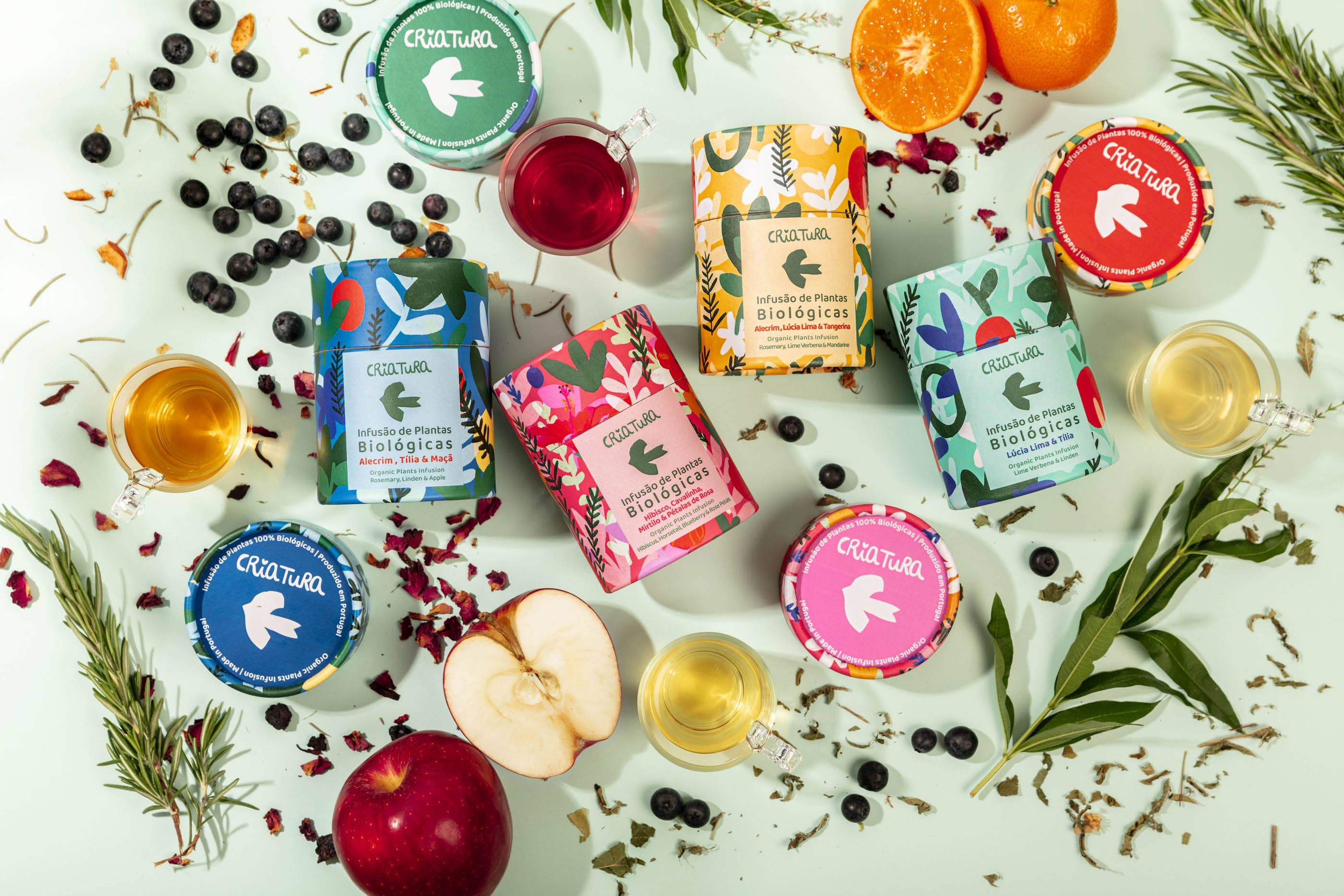 CRIATURA - Wholesale Tea Set - Limited Edition Tea Kit – TEA BLOSSOM4