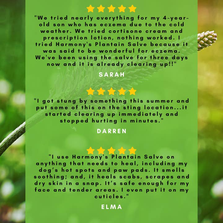 Healthy Energy Amazing Life - Wholesale Healing Salve/Balm/Cream - Plantain Salves6