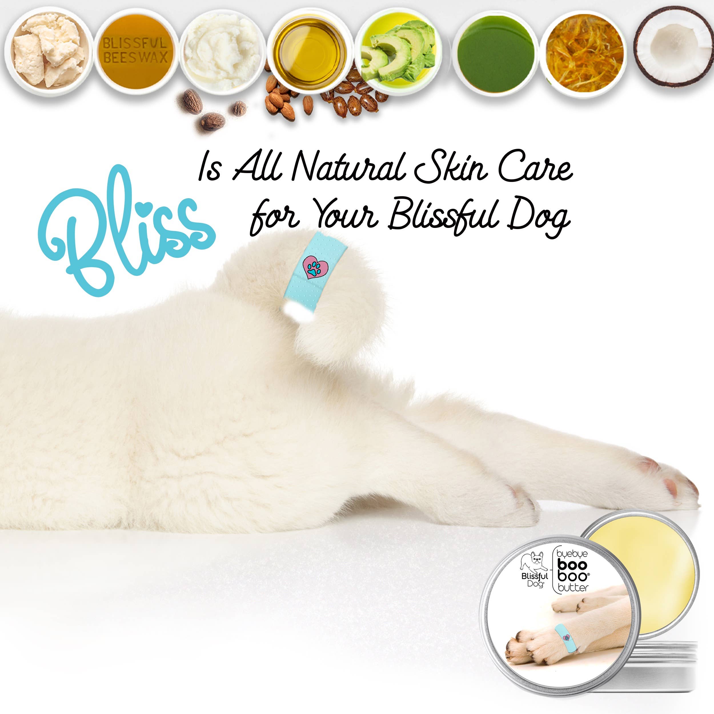The Blissful Dog – Großhandel Balsam für Haustiere – Hund – Boo Boo Butter für kleinere Hautprobleme5