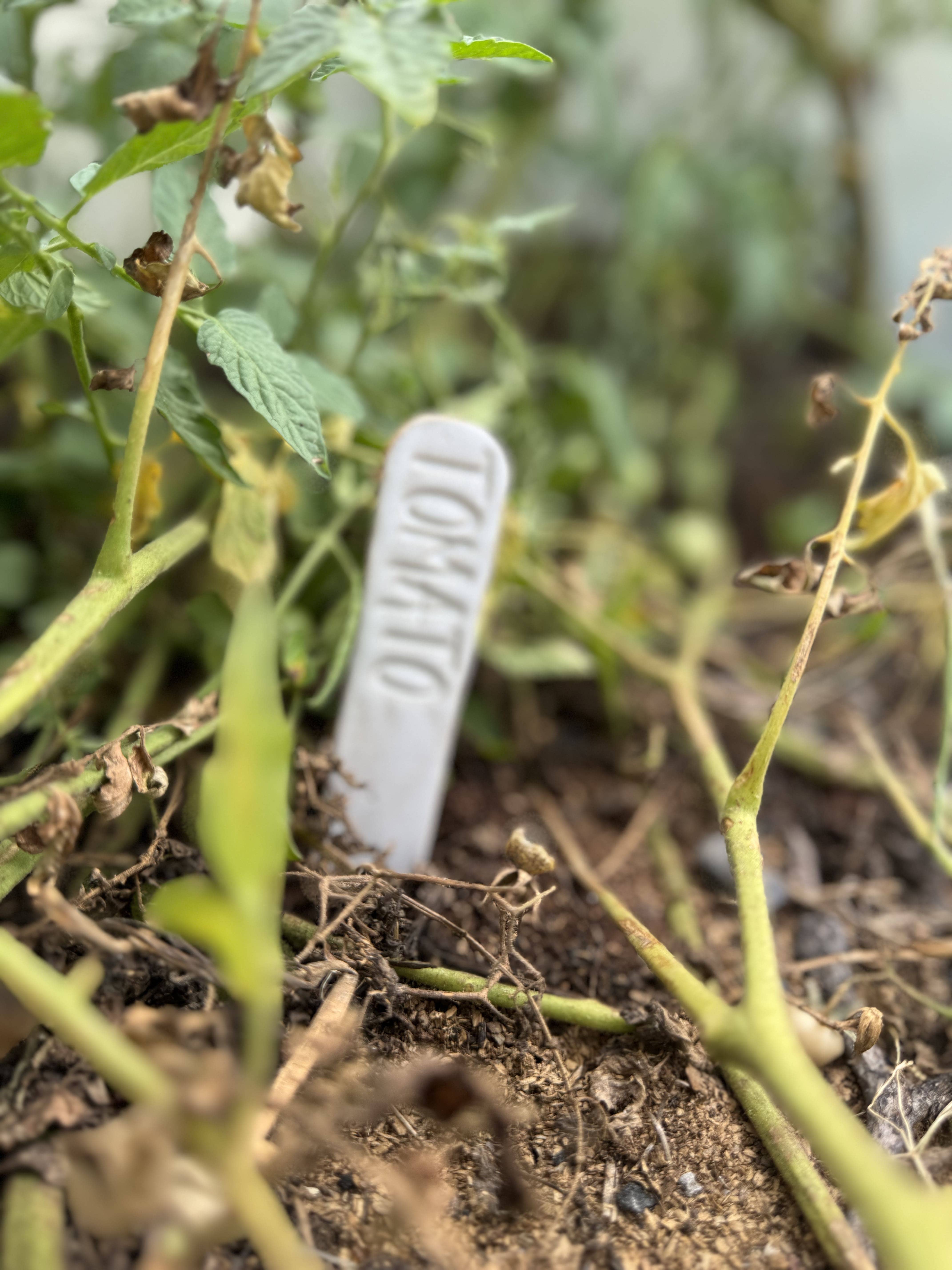 Wolf and Clay Pty Ltd - Wholesale Garden/Lawn Stake - Garden Name Stakes3