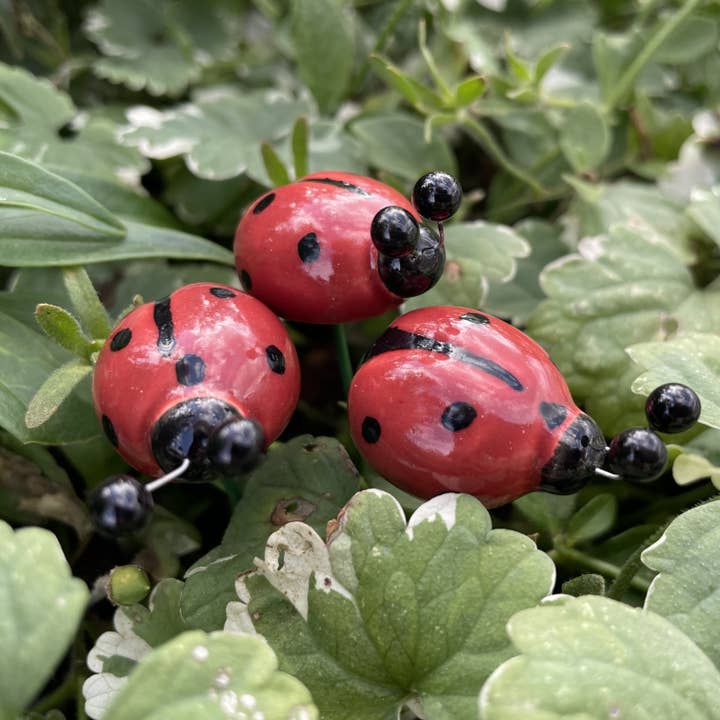 Pannonhem AB. - Wholesale Garden/Lawn Stake - Ceramic Ladybird, Plant stake,Ladybird on stem1