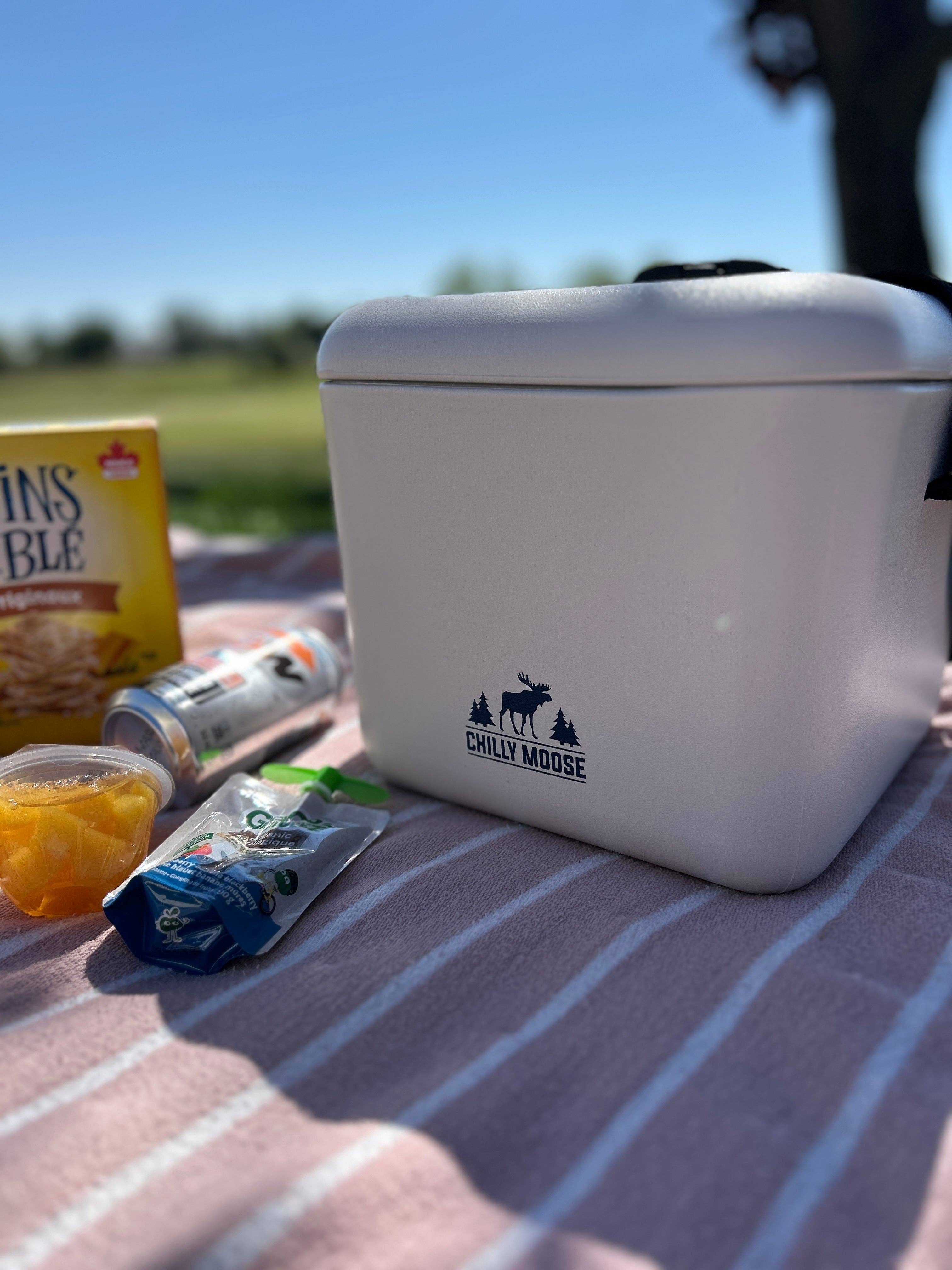 Chilly Moose - Vendita all'ingrosso Borsa termica/frigo - 9L Cabot Cooler Cube7