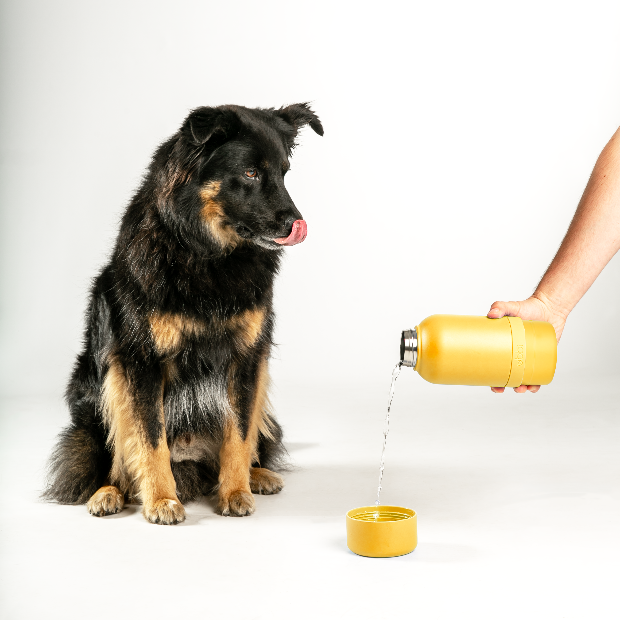 Ubbi - Vente Bouteilles d'eau - Bouteille d'eau jaune Pup + Me1