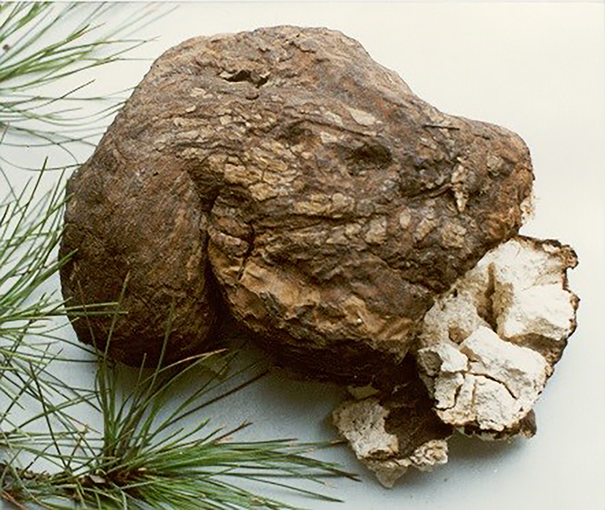 Du Jardin Beauty - Wholesale Facial Serum/Concentrate - Rose Gold Radiance Moisturizing Serum10