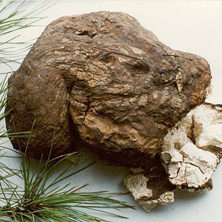 Du Jardin Beauty - Wholesale Facial Serum/Concentrate - Rose Gold Radiance Moisturizing Serum10