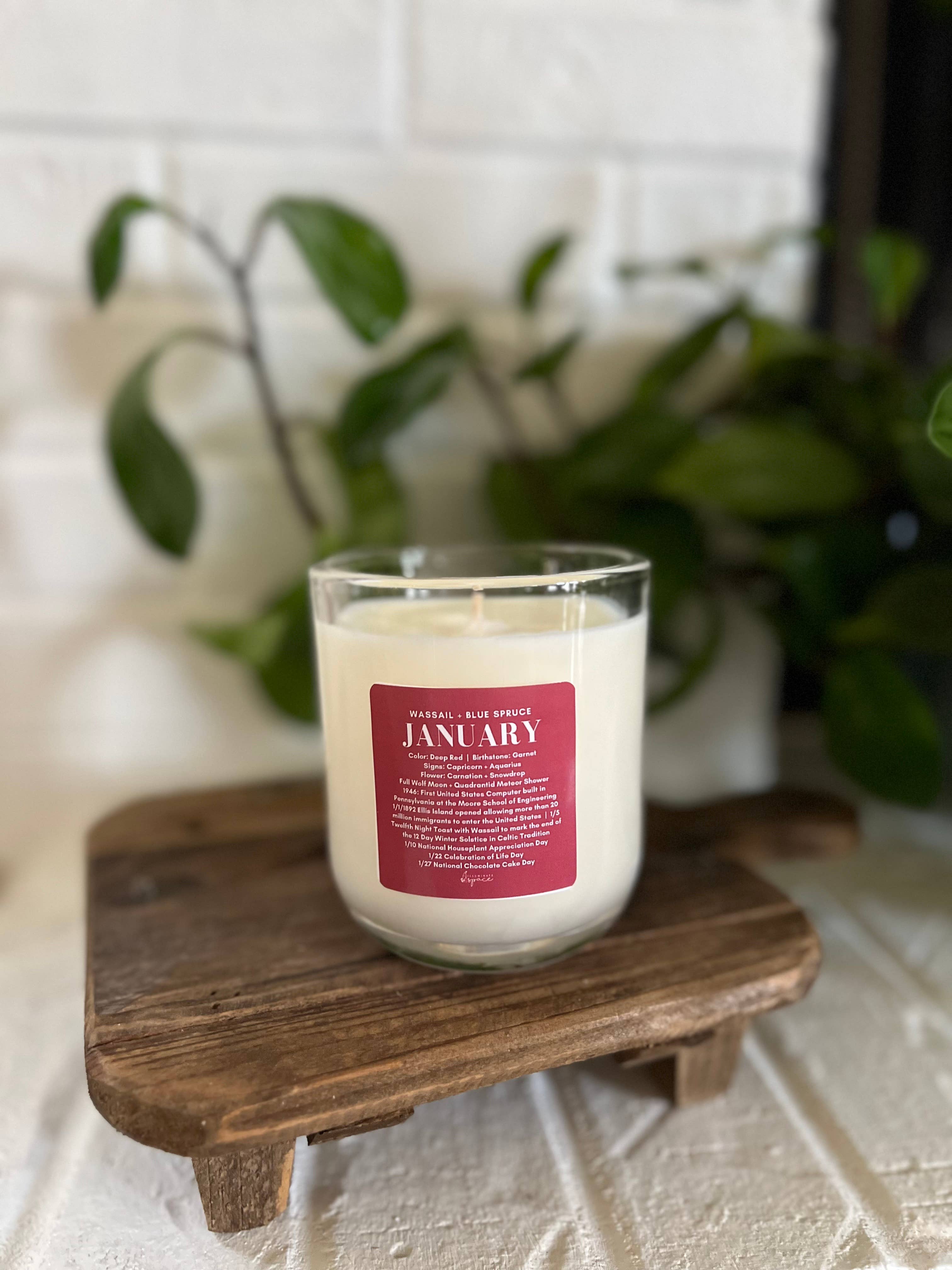 Illuminate Space - Wholesale Jar/Filled Candle - January Birthday Month Candle0