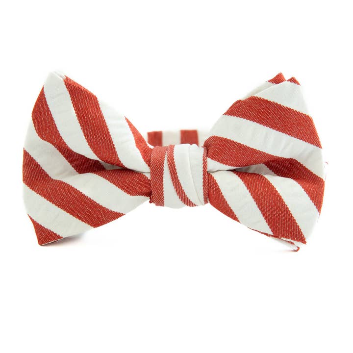 Scarlet Stripe Bow Tie for Boys for wholesale by Boon Ties
