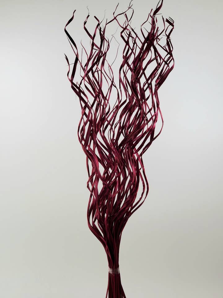 Palm Wavy Laser Red for wholesale by THE ACCESSORY COLLECTION