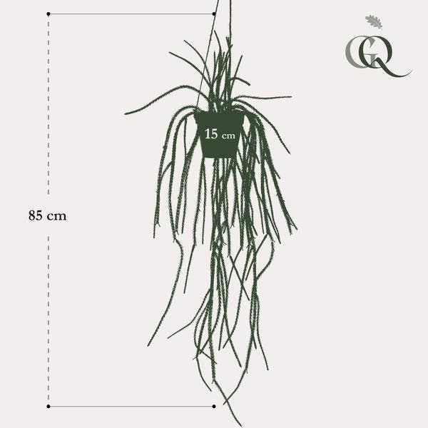 Oasis of Life - Wholesale Artificial Plant - Artificial Plant Rhipsalis – Coral Cactus – 85cm – High-quality Artificial Hanging Plant without Thorns – Evergreen Decorative Plant for Living Room, Office & Interiors – Maintenance-free & Durable3