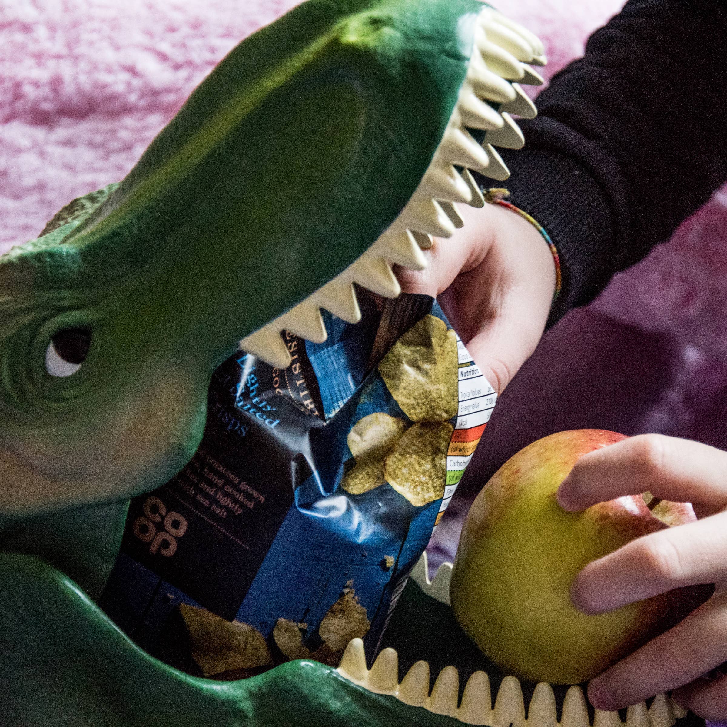 Luckies of London – wholesale Lunch bag/box – Kids – Dinosaur Case Lunch Box3