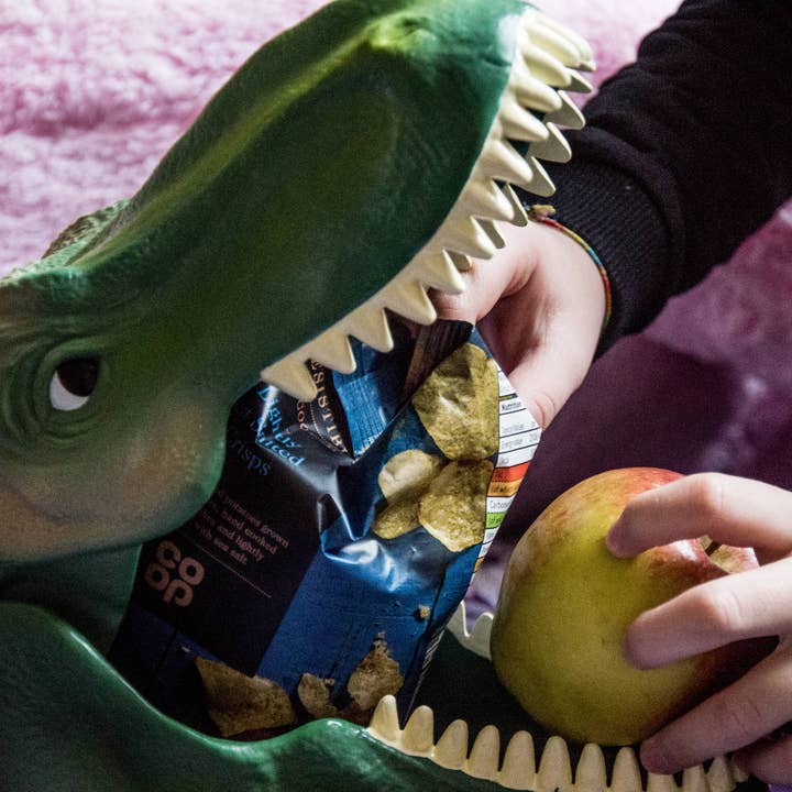 Luckies of London – wholesale Lunch bag/box – Kids – Dinosaur Case Lunch Box3