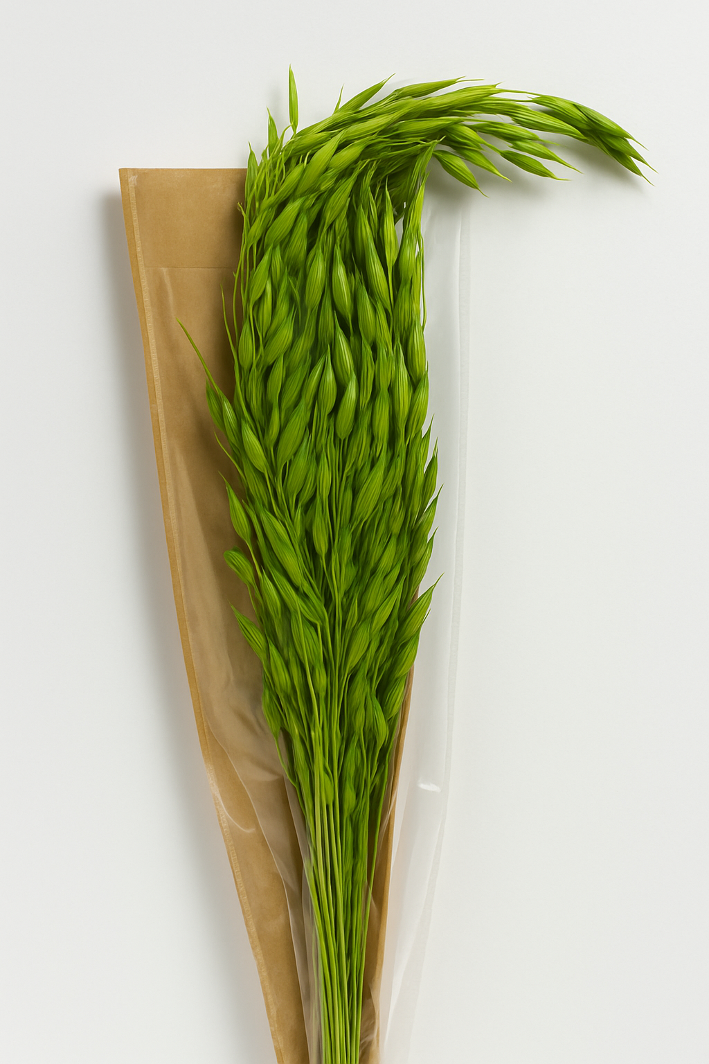 GS Foliage – Engroshandel Tørrede/pressede blomster – Avana dekorativt græs – 1 bundt (konserveret)3