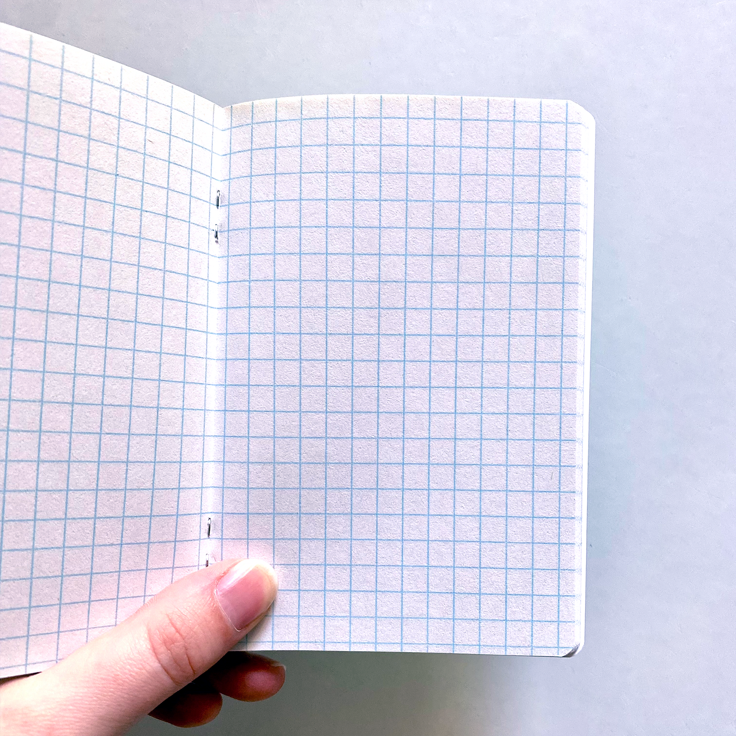 Cat Loaf Studio - Wholesale Notebook - Paws-itively Intrigued Pocket Notebook1