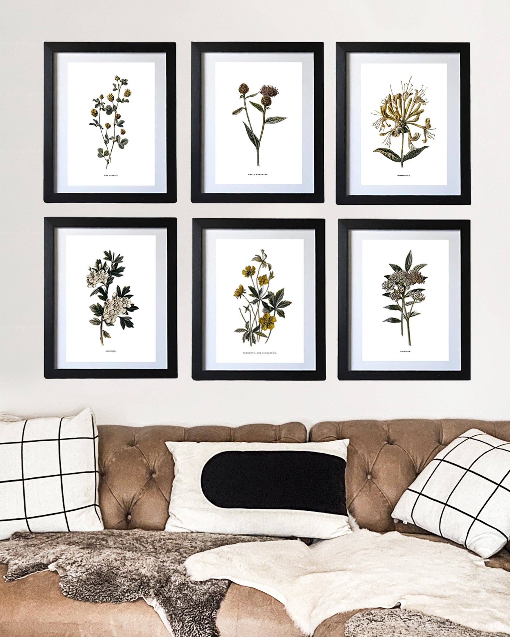 Coultura - Wholesale Gallery Wall Set - Framed Vintage Botanical Floral Wall Art Prints: Set Of Six