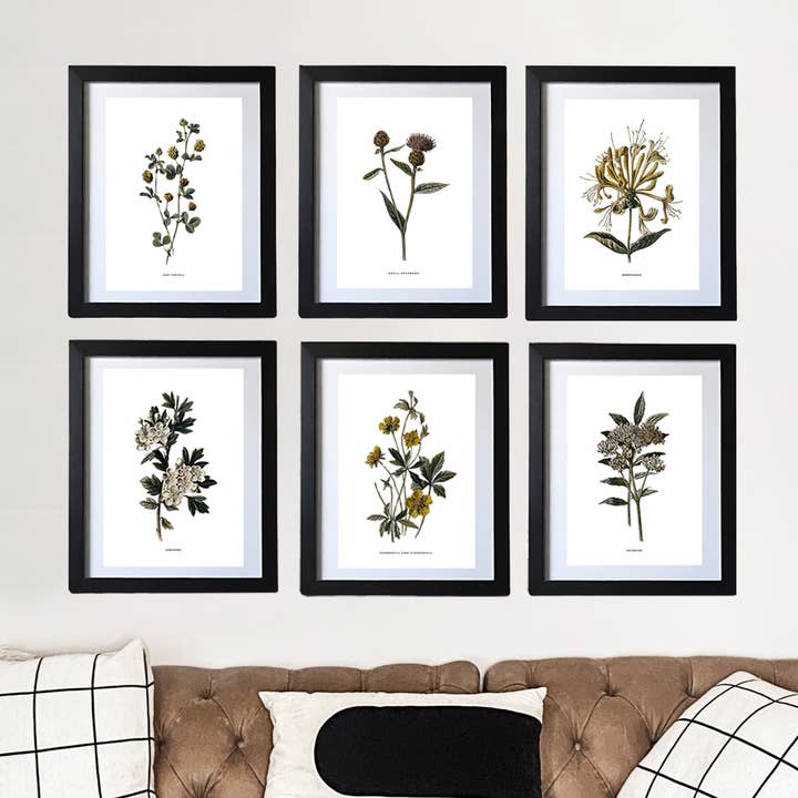 Coultura - Wholesale Gallery Wall Set - Framed Vintage Botanical Floral Wall Art Prints: Set Of Six0