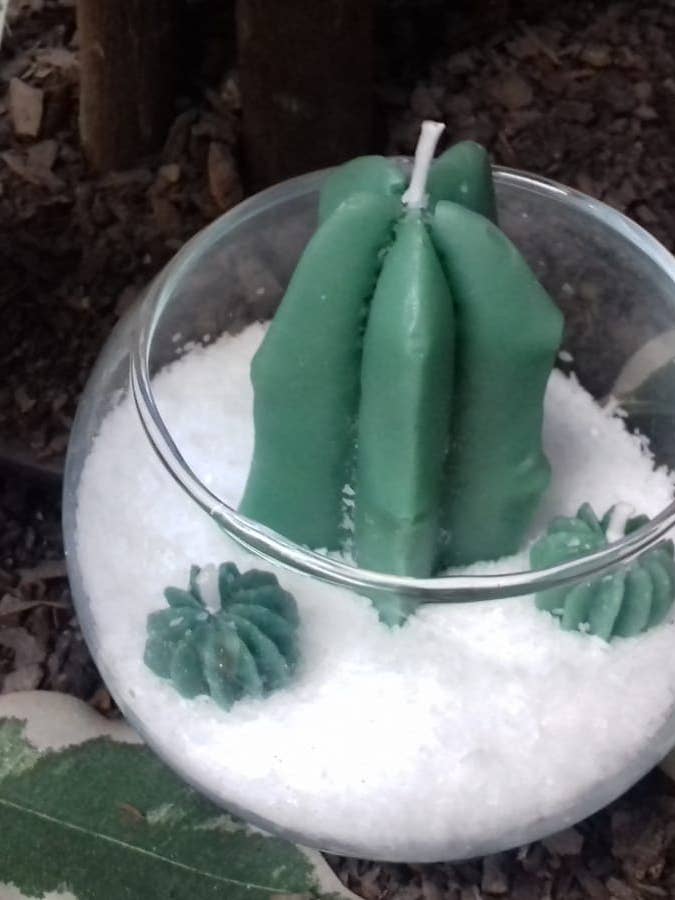 Aromatische Kaktus-Kerze im 8 cm großen Glasterrarium. für den Großhandel von PLATT BARCELONA 1927