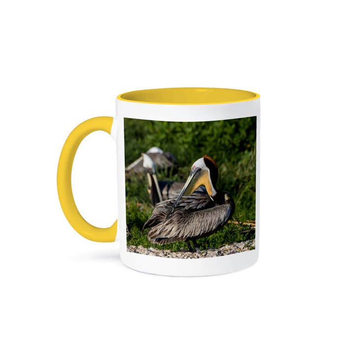3dRose - Wholesale Coffee Mug - 3dRose, Brown Pelicans, Pelecanus occidentalis, preening., Mug