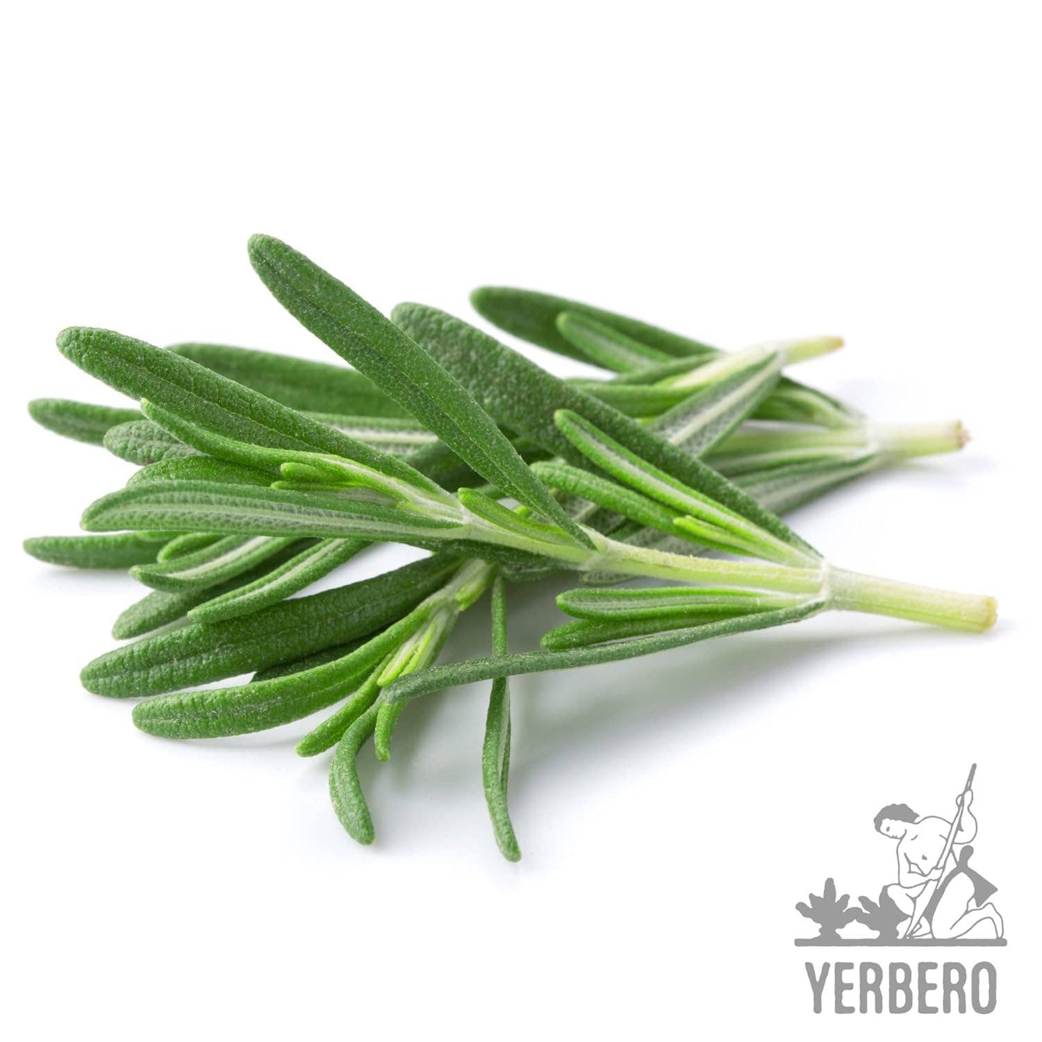 YERBERO - Wholesale Herbs - Yerbero - Premium Bulk Whole Rosemary Dried Leaves (Multiple Sizes) | Rosmarinus Officinalis | Hoja De Romero Deshidratada | Dried Whole Leaves For Gourmet Cuisine & Brewing Teas, Natural, Gluten-Free.8
