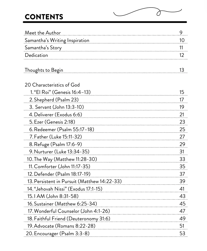 Wheat and Honey Co. - Wholesale Religion Book - Washed: A Motherhood Devotional about Postpartum2