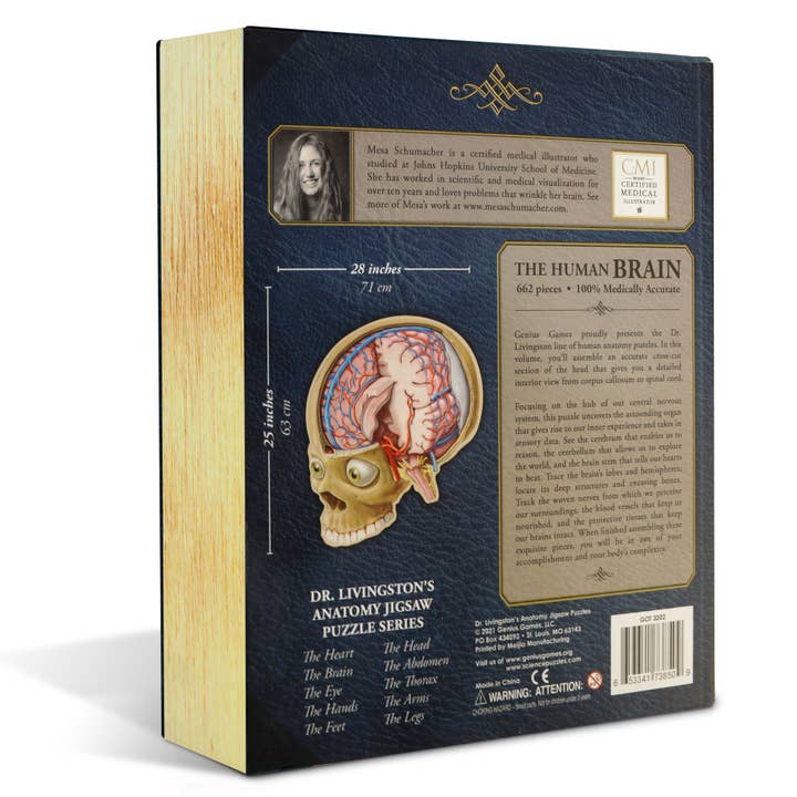 Dr. Livingston's Anatomy Jigsaw Puzzle: The Human Brain for wholesale by Genius Games