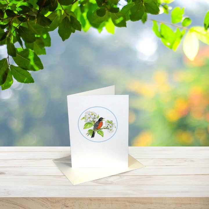#46002B- "Robins sang" Studiokort Sæt i Boks for engroshandel hos Woodfield Press