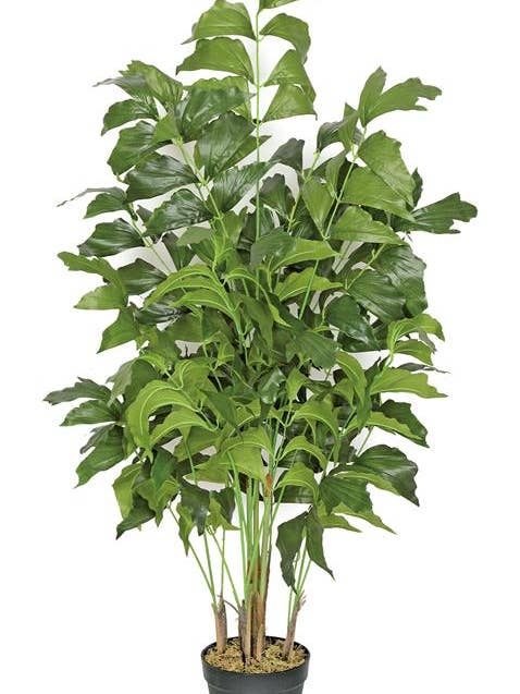 Fishtail Palm in Pot X5 Trunks, 47", Green for wholesale by Select Artificials, Inc.