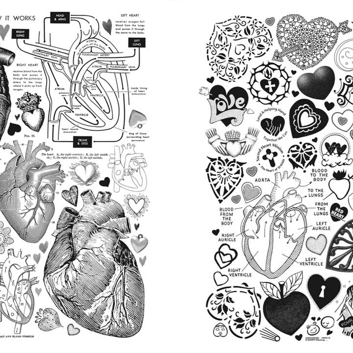 LiartownUSA - Wholesale Humor - Crap Hound - Hands, Hearts and Eyes3