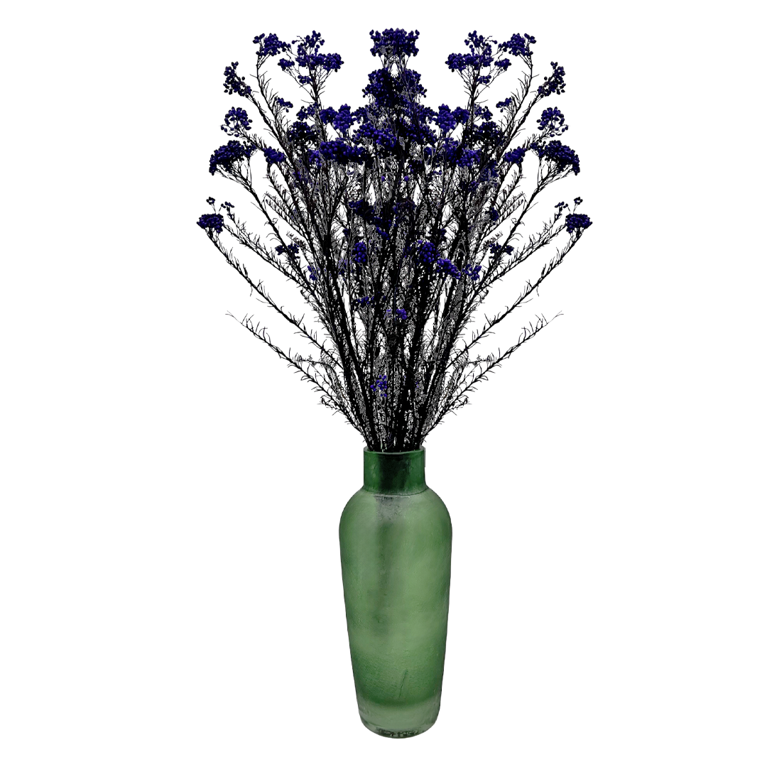 2626 Designs – Engroshandel Tørrede/pressede blomster – Konserveret hirse og risblomst - Immortelle og Ozothamnus blomster10