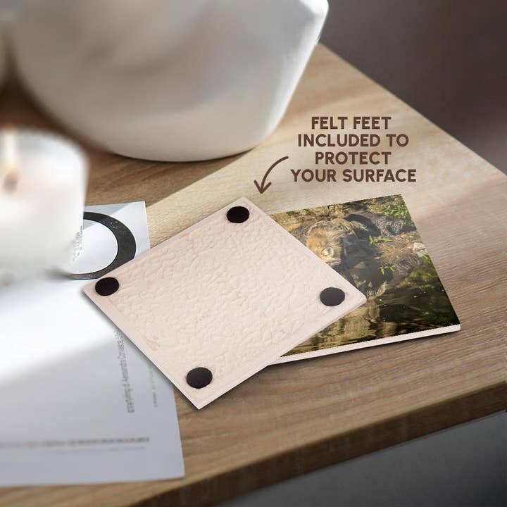 3dRose - Wholesale Coasters - 3dRose, Pine County. Captive red fox drinking. , Coaster3