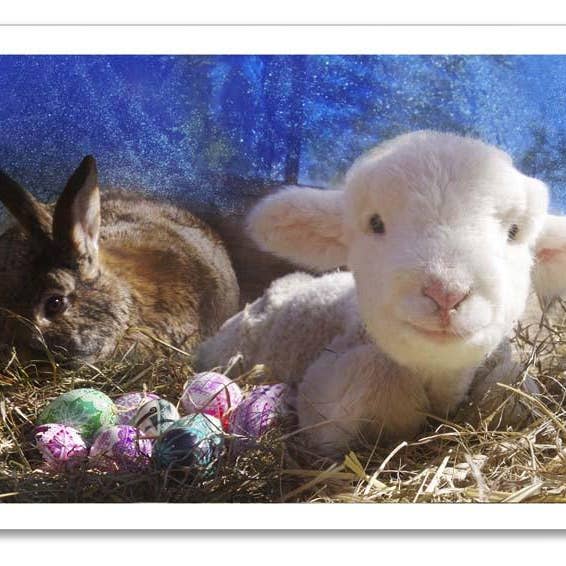 Storybook Art Card ~Finn's Easter for wholesale by Brickhouse Studios Publishing/Sweet Pea & Friends