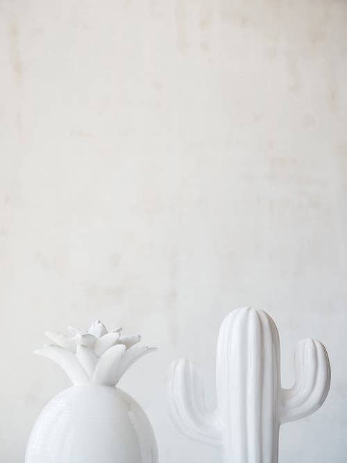 'Cacti I' Fine Art Photography Print for wholesale by White Hill Home