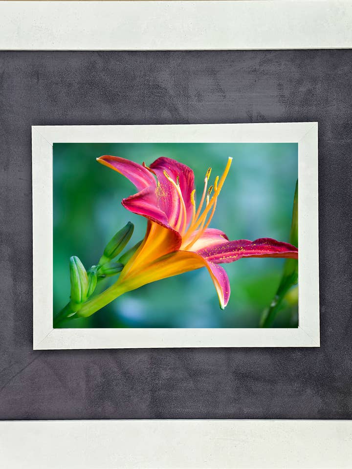 Iris Study avec terre cuite blanche et tissu pour la vente par The Brightener Group