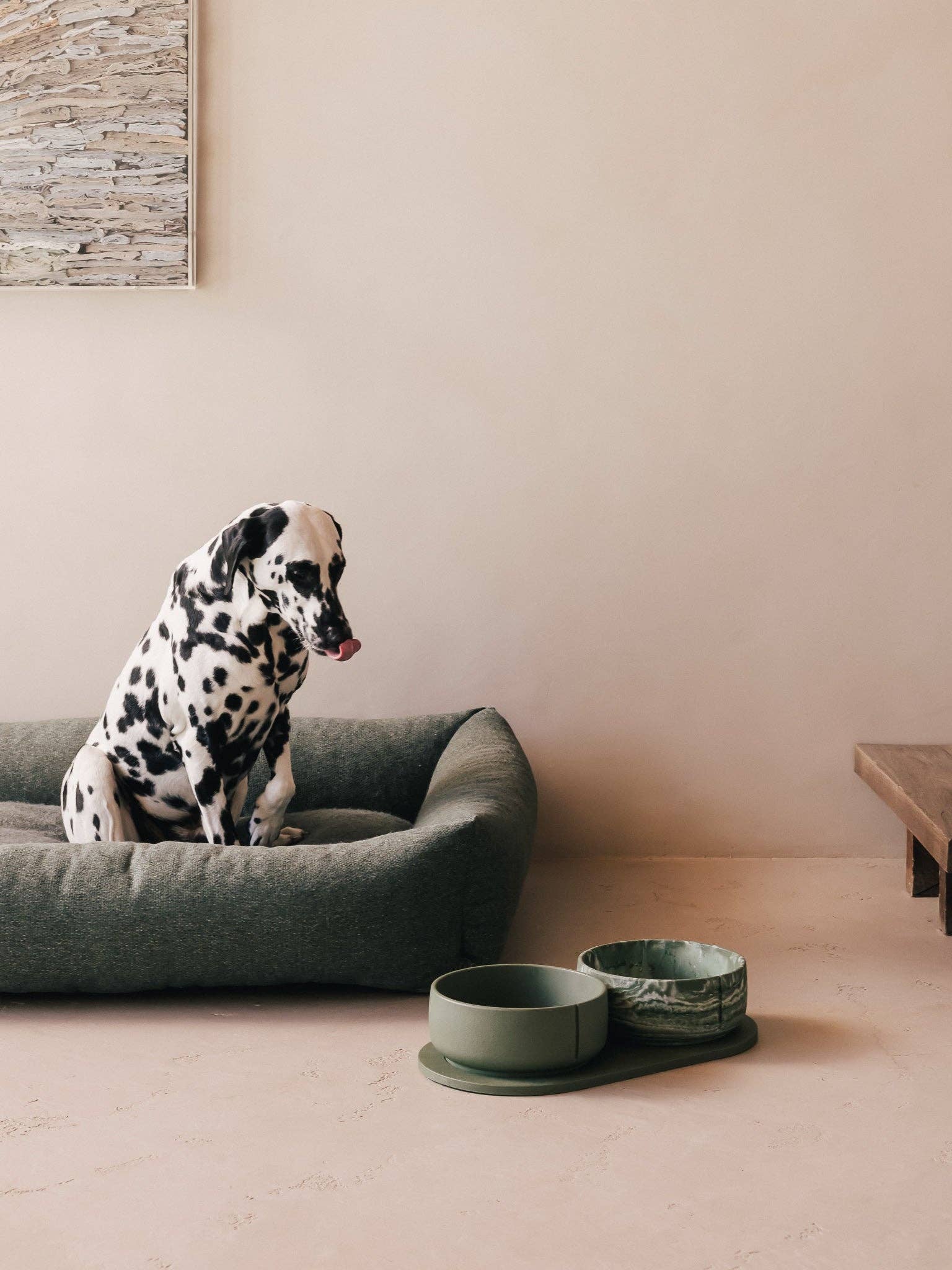 PINO – Engroshandel Kæledyrsskål – Hund – Klassisk skål3