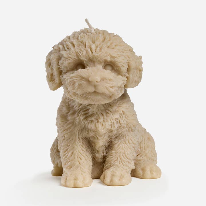 Cavoodle ljus (Blond) för wholesale av Love Ally