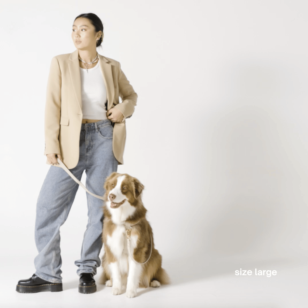 ST ARGO - Wholesale Pet harness – Dog - HARNESS - Cream7