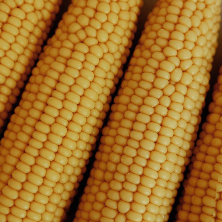 Corn cob pillar candle, fall decor, Thanksgiving, Halloween and other Purchase Wholesale corn cob bedding. Free Returns & Net 60 Terms on Faire trending on Faire.