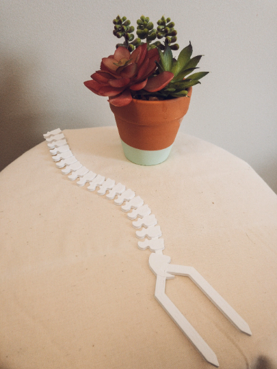 CMbeautifuldesigns – Engroshandel Spalier – Spine Trellis1