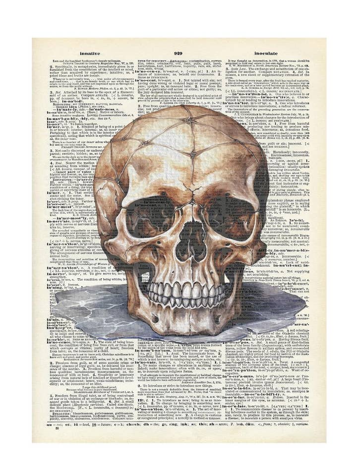 Halloween, skull , Vintage, Dictionary Prints for wholesale by Crazilyhumbledesigns