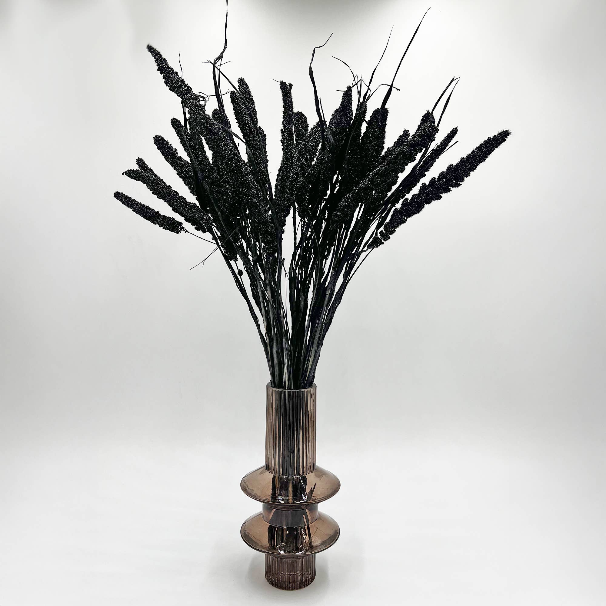 2626 Designs - Wholesale Dried/Pressed Flowers - Dried Preserved Millet Flower 21" Multiple Colors34