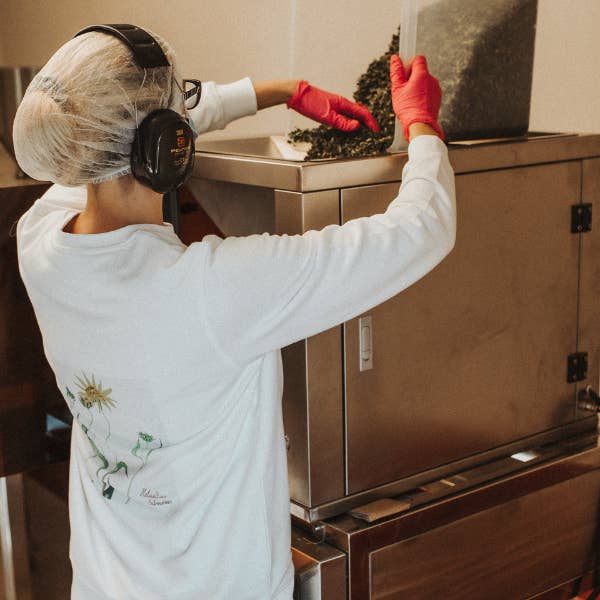 Plūkt - Wholesale Tea Bags - Tea bags BULK PACKAGES // biodegradable, herbal, zerowaste6