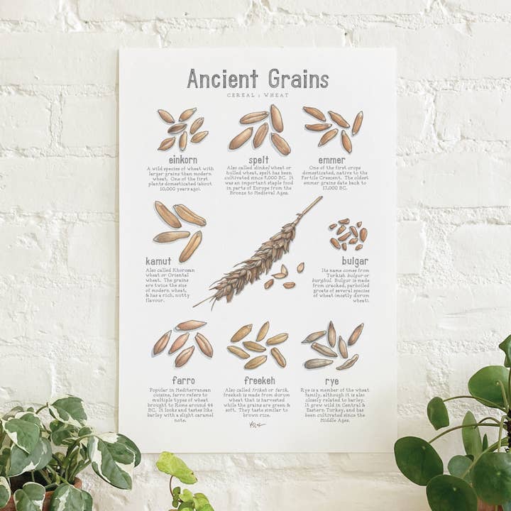 Plakat/Gamle korn. Hvede for engroshandel hos Yeesan Loh