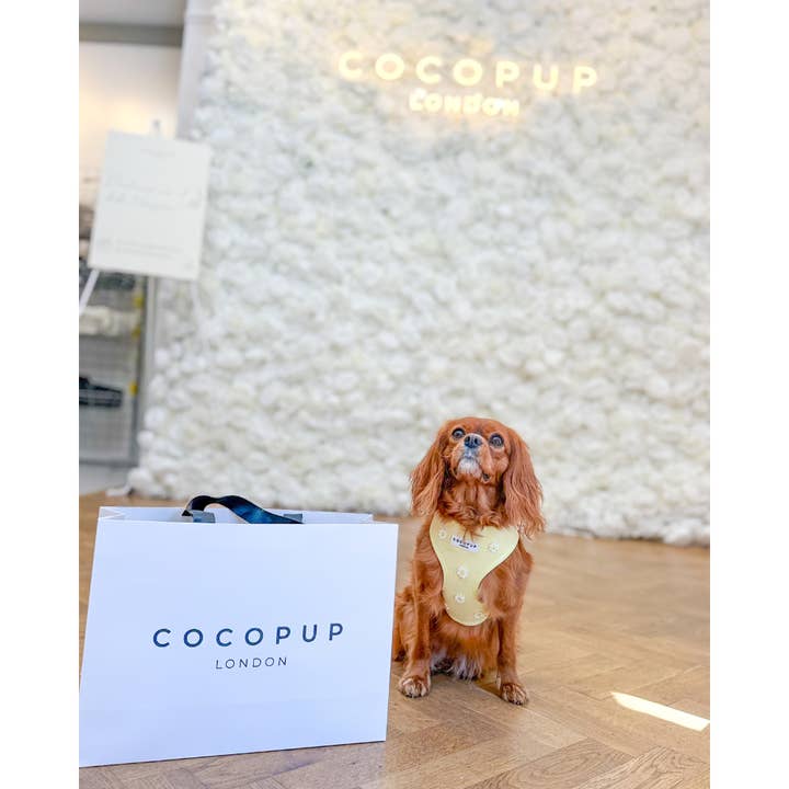 Cocopup London - Wholesale Pet Harness - Dog - Buttercup Pup Adjustable Neck HARNESS32