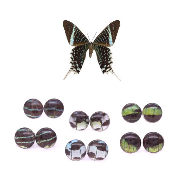 Leilus Butterfly Glass Studs for wholesale by Monarca Eco Friendly Jewelry