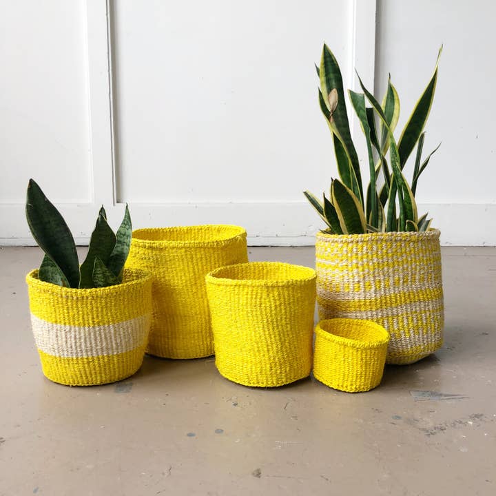 Storage Plant Basket: Lemon Zest for wholesale by Amsha