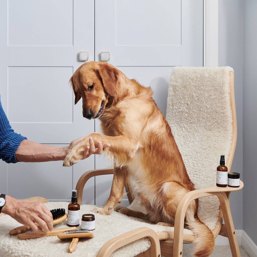 Sweet William Designs - Wholesale Pet Grooming Aid - Dog - Dog Grooming - Organic Sleepy Spritz4