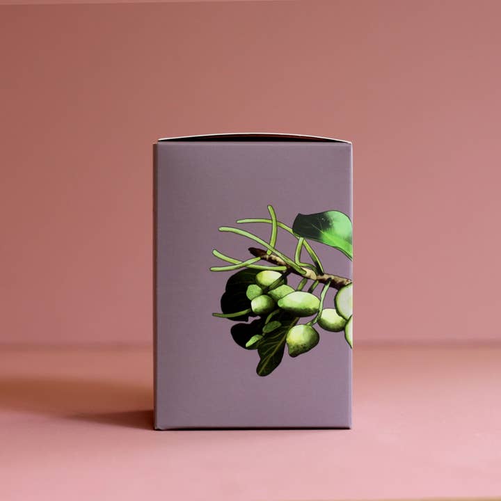 Ivy & Wood - Wholesale Jar/filled candle - Australiana: Kakadu Plum & Cucumber Soy Candle3