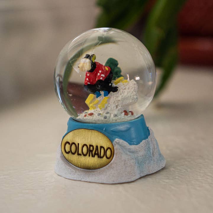 Snow Business USA - Wholesale Snow Globe - Skiing Bear Small Snow Globe