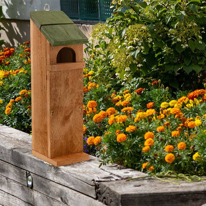 Kurated Korner - Wholesale Bird House - Uncle Dunkel's Tree Frog House6