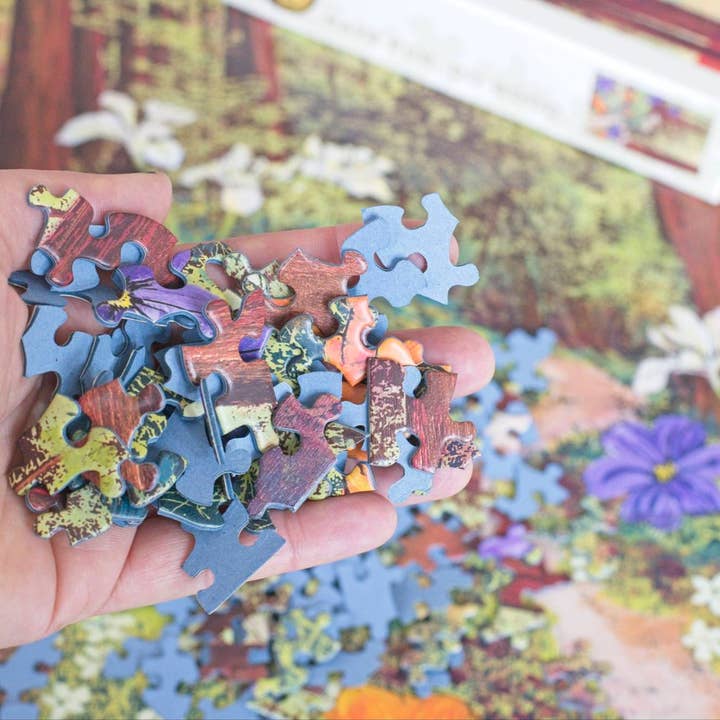 Oakland Puzzle Company - Wholesale Puzzle - Adult - Golden Beams in Redwoods 1000-piece Jigsaw Puzzle2